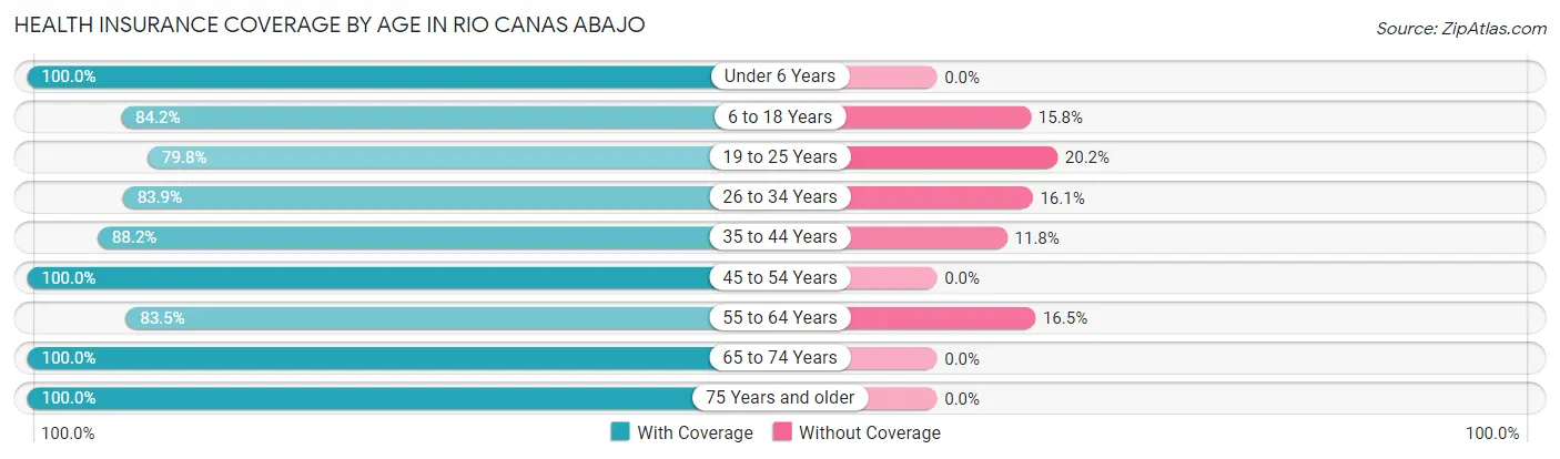 Health Insurance Coverage by Age in Rio Canas Abajo