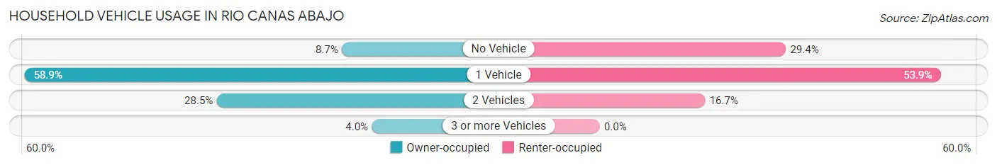 Household Vehicle Usage in Rio Canas Abajo