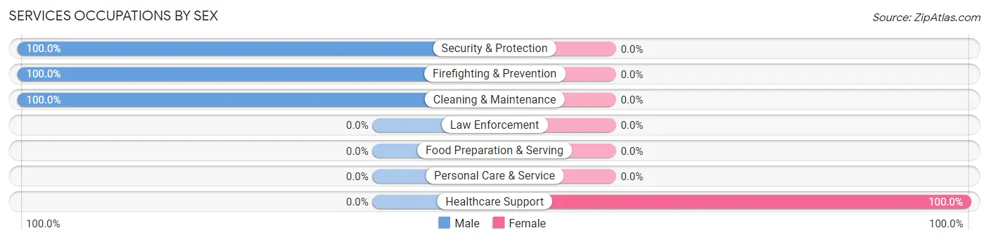Services Occupations by Sex in Rio Canas Abajo