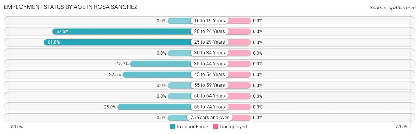 Employment Status by Age in Rosa Sanchez