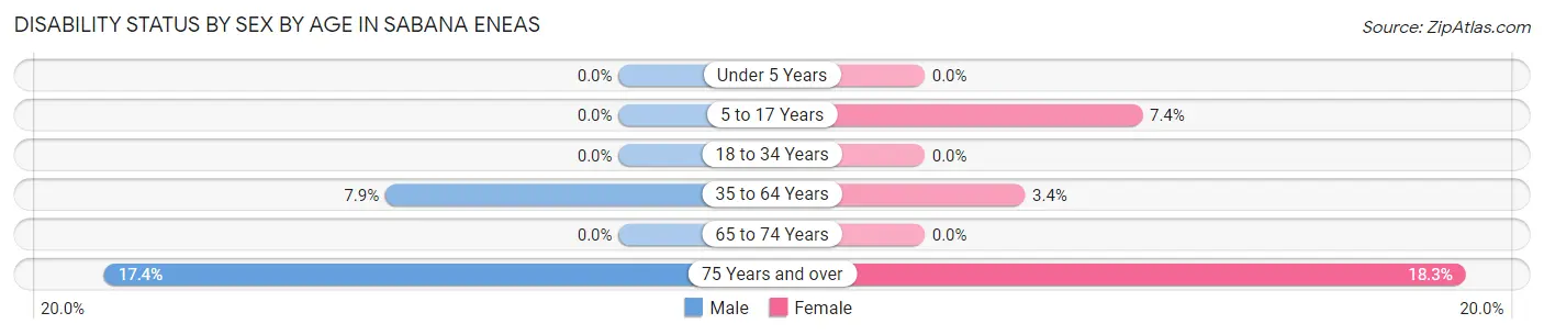 Disability Status by Sex by Age in Sabana Eneas