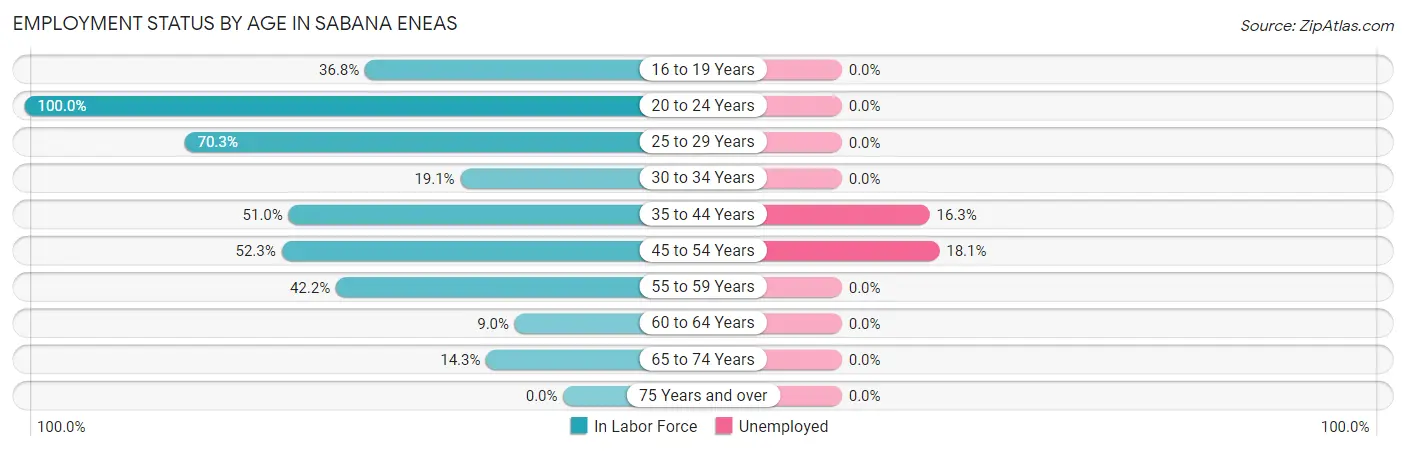 Employment Status by Age in Sabana Eneas