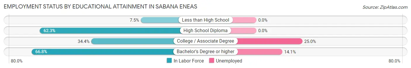 Employment Status by Educational Attainment in Sabana Eneas