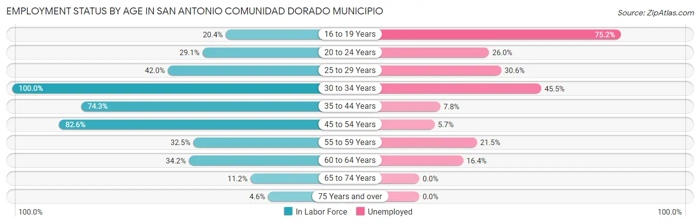 Employment Status by Age in San Antonio comunidad Dorado Municipio