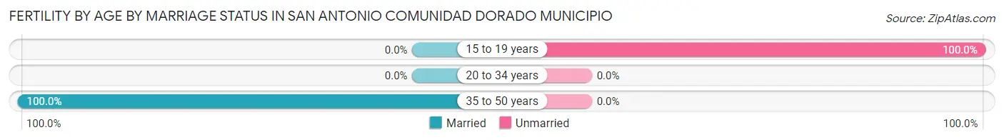 Female Fertility by Age by Marriage Status in San Antonio comunidad Dorado Municipio