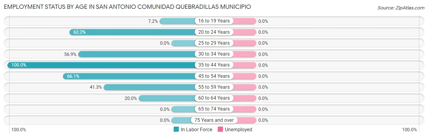 Employment Status by Age in San Antonio comunidad Quebradillas Municipio
