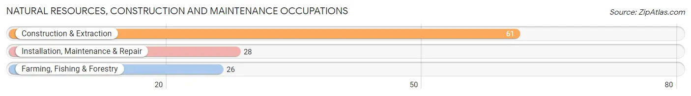 Natural Resources, Construction and Maintenance Occupations in San German