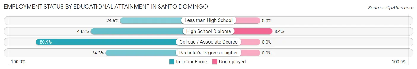 Employment Status by Educational Attainment in Santo Domingo