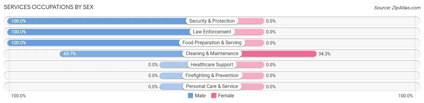 Services Occupations by Sex in Santo Domingo