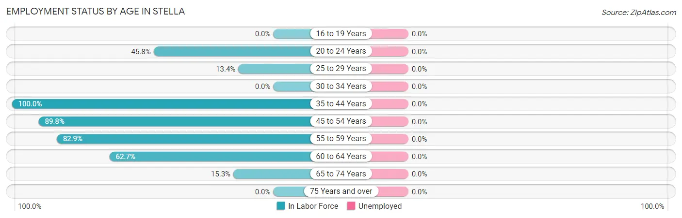 Employment Status by Age in Stella
