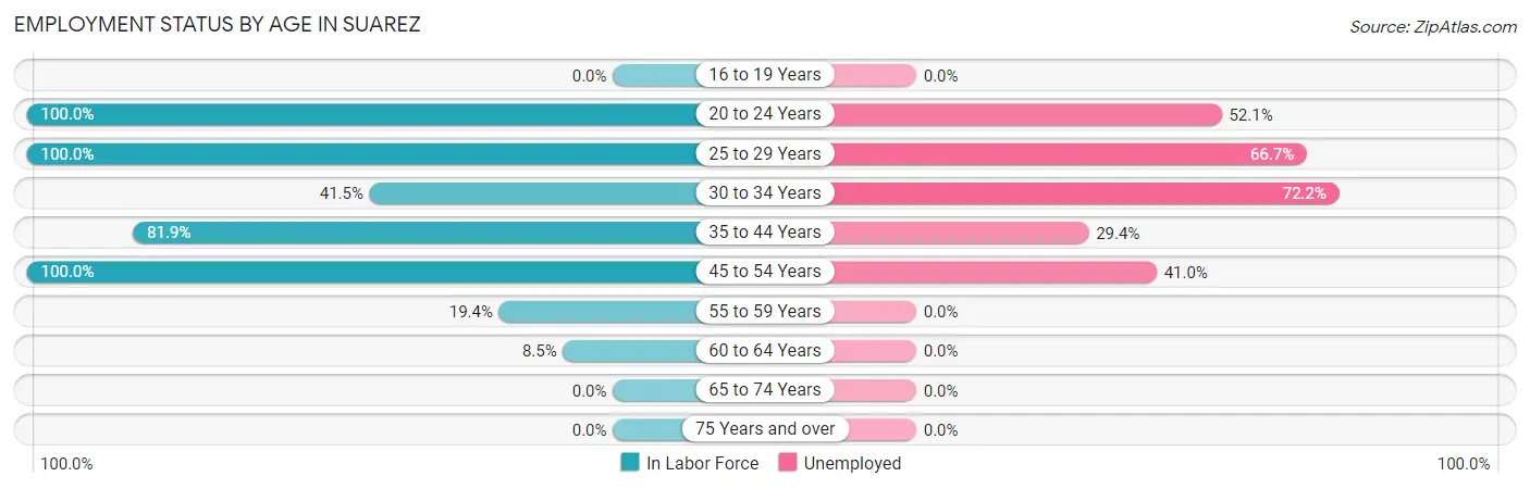 Employment Status by Age in Suarez