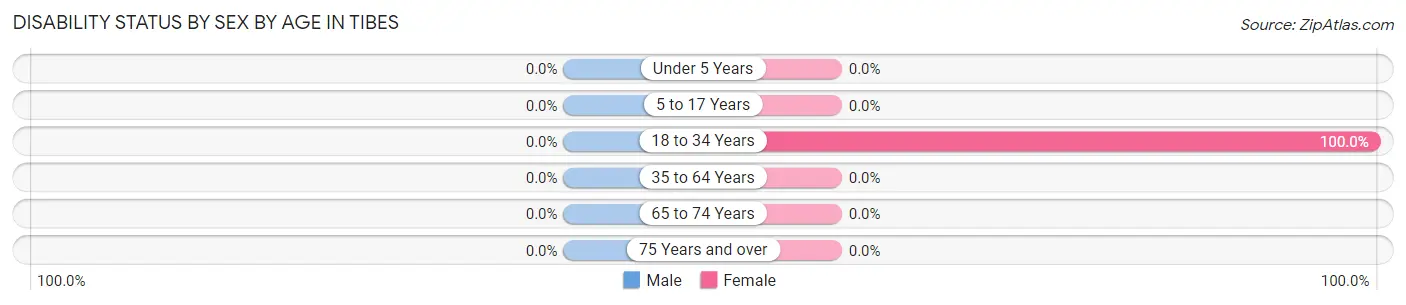 Disability Status by Sex by Age in Tibes