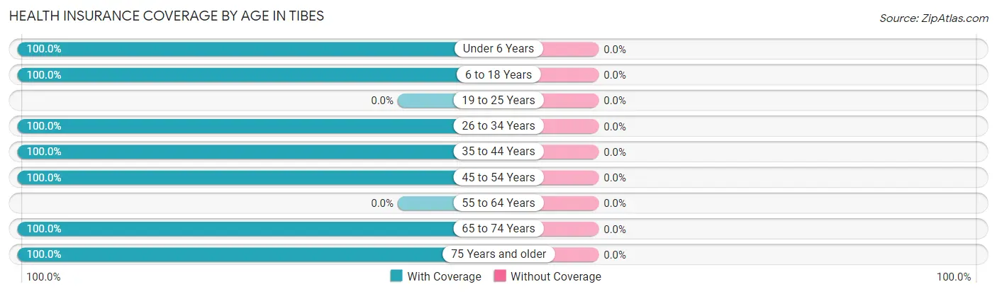 Health Insurance Coverage by Age in Tibes