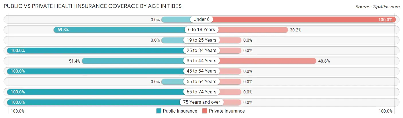 Public vs Private Health Insurance Coverage by Age in Tibes