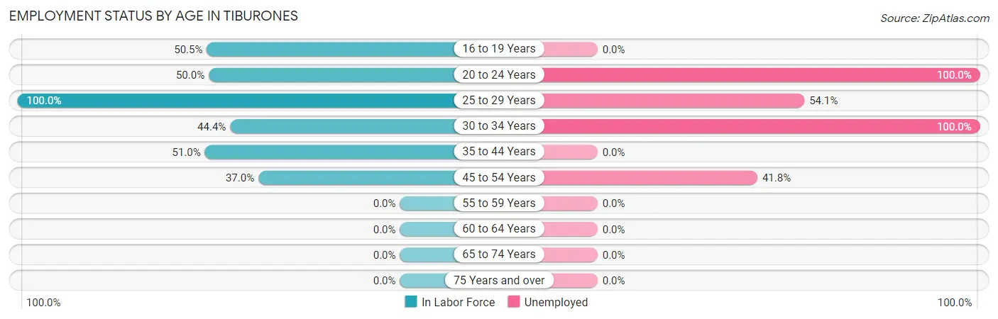 Employment Status by Age in Tiburones