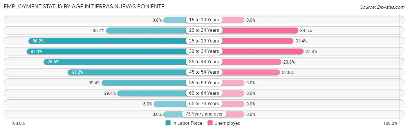 Employment Status by Age in Tierras Nuevas Poniente