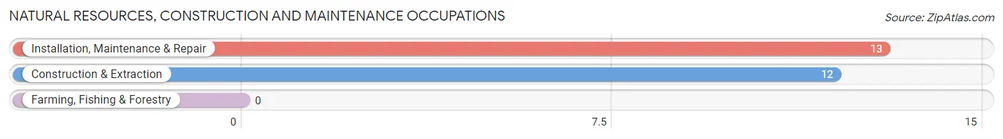 Natural Resources, Construction and Maintenance Occupations in Tierras Nuevas Poniente