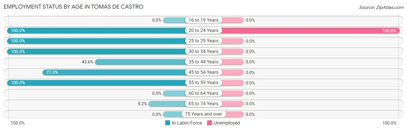 Employment Status by Age in Tomás de Castro