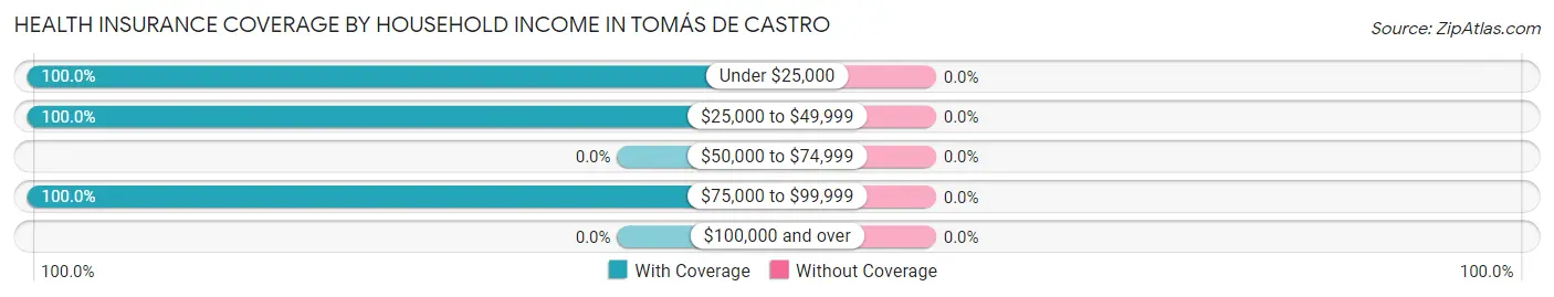 Health Insurance Coverage by Household Income in Tomás de Castro