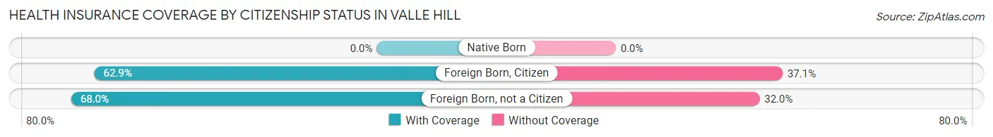 Health Insurance Coverage by Citizenship Status in Valle Hill
