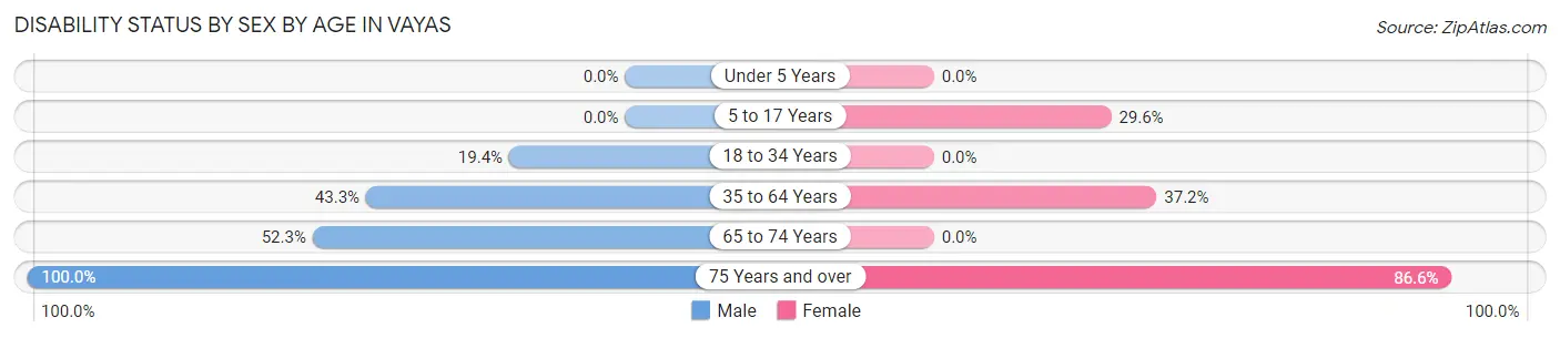 Disability Status by Sex by Age in Vayas