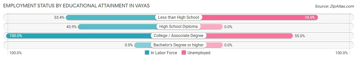 Employment Status by Educational Attainment in Vayas