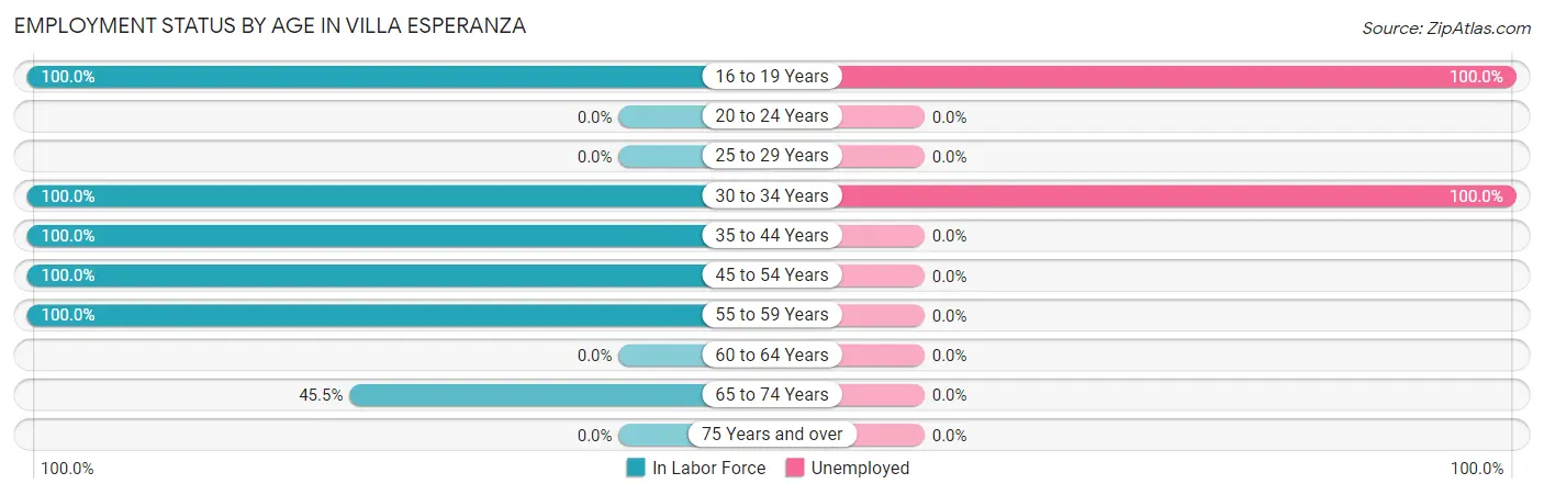 Employment Status by Age in Villa Esperanza