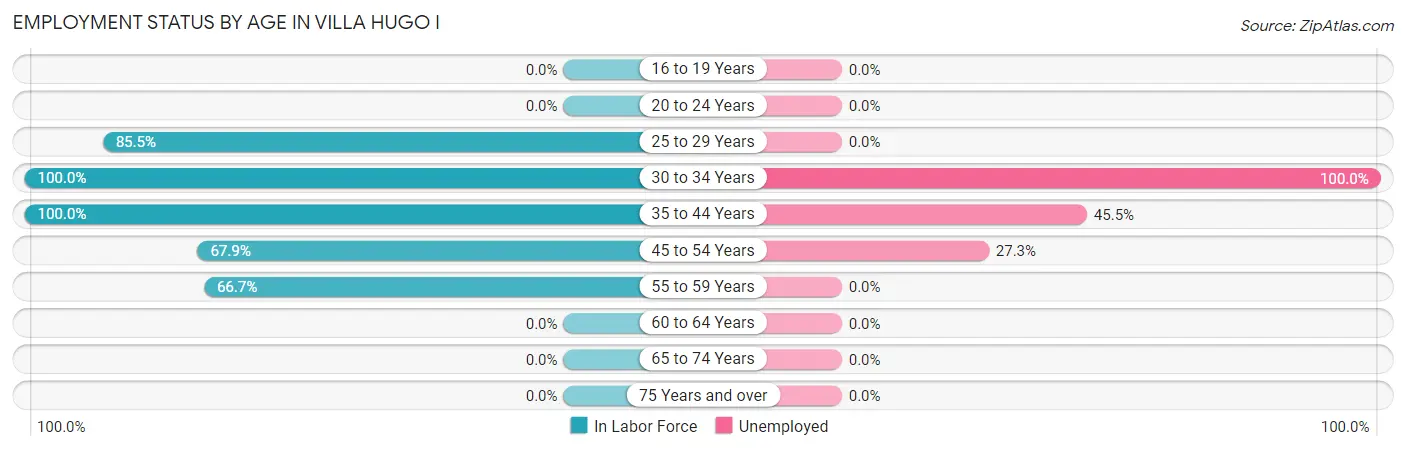 Employment Status by Age in Villa Hugo I