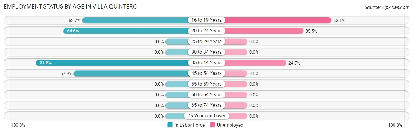 Employment Status by Age in Villa Quintero