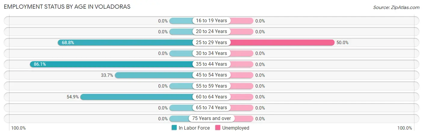 Employment Status by Age in Voladoras