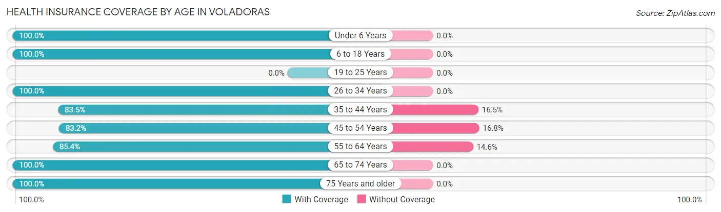 Health Insurance Coverage by Age in Voladoras