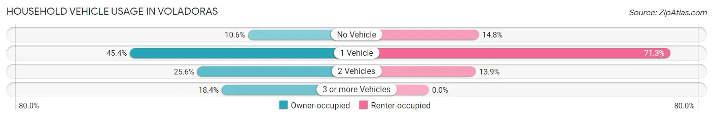 Household Vehicle Usage in Voladoras
