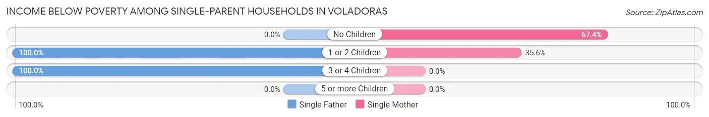 Income Below Poverty Among Single-Parent Households in Voladoras