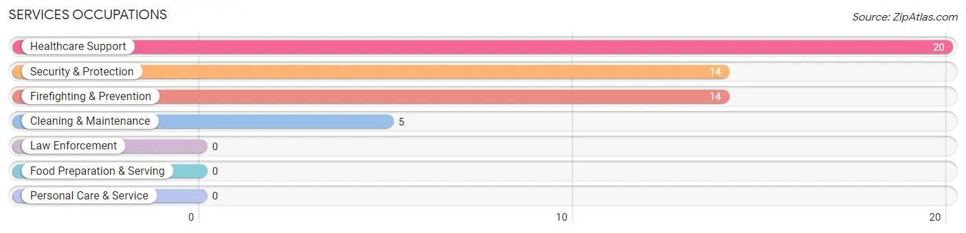 Services Occupations in Yaurel