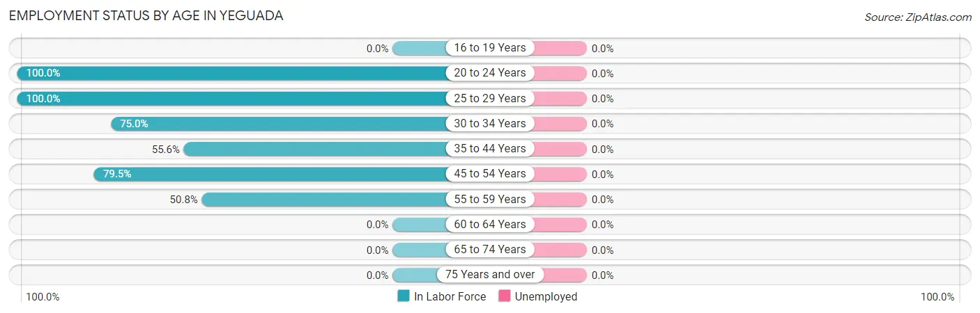 Employment Status by Age in Yeguada