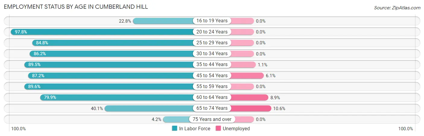Employment Status by Age in Cumberland Hill