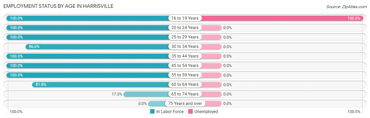 Employment Status by Age in Harrisville