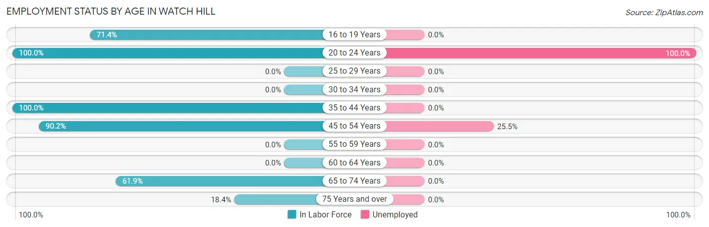 Employment Status by Age in Watch Hill