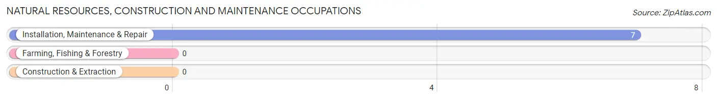 Natural Resources, Construction and Maintenance Occupations in Watch Hill