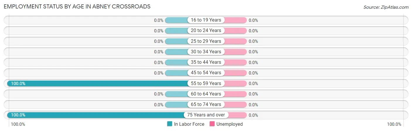 Employment Status by Age in Abney Crossroads