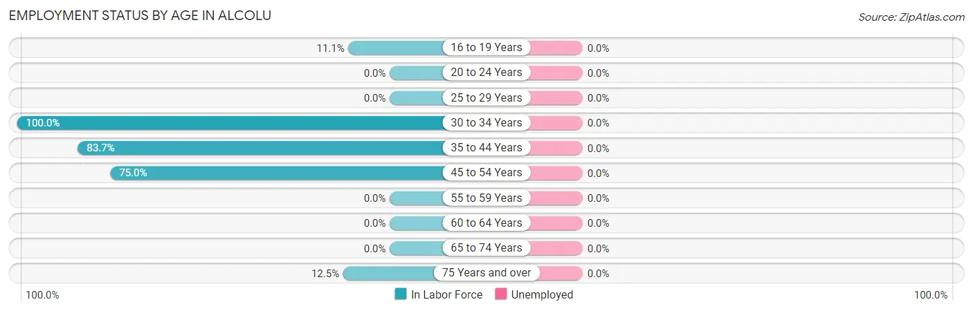 Employment Status by Age in Alcolu