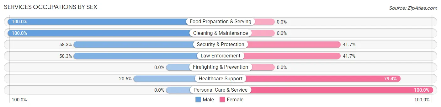 Services Occupations by Sex in Allendale