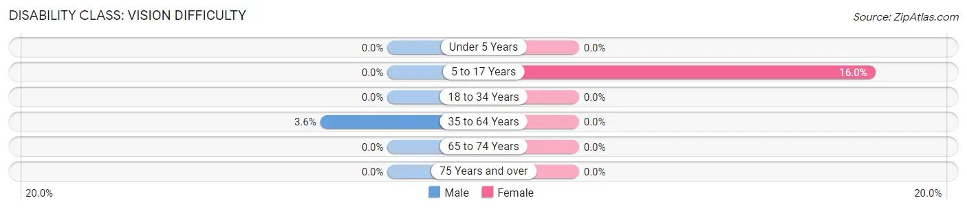 Disability in Andrews: <span>Vision Difficulty</span>