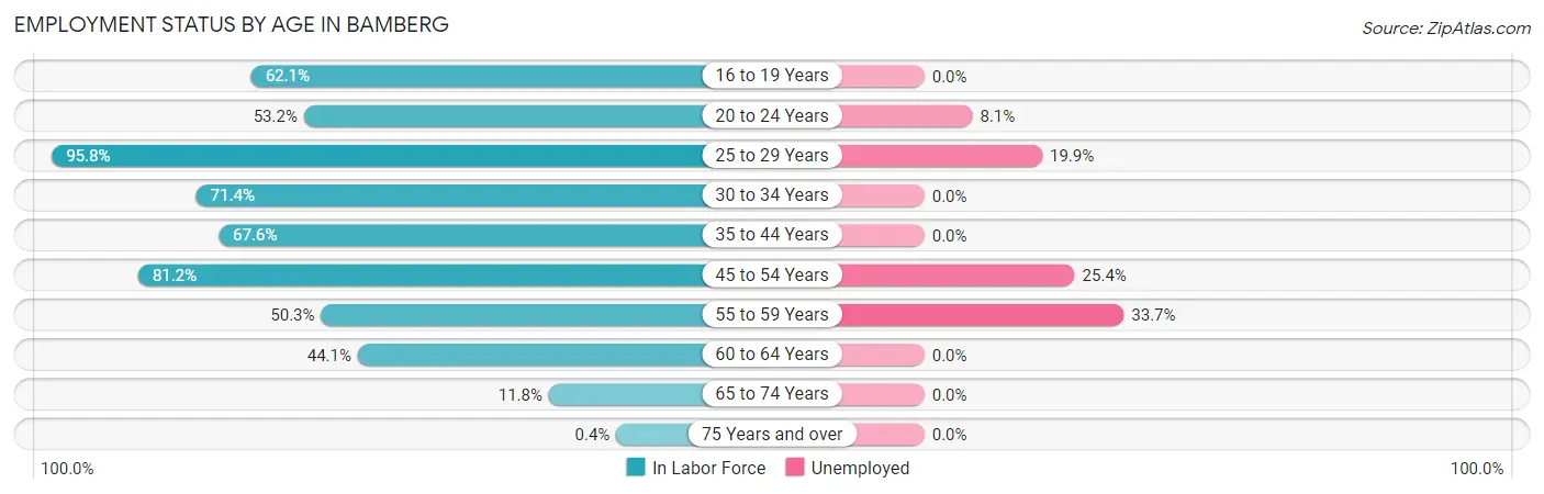Employment Status by Age in Bamberg