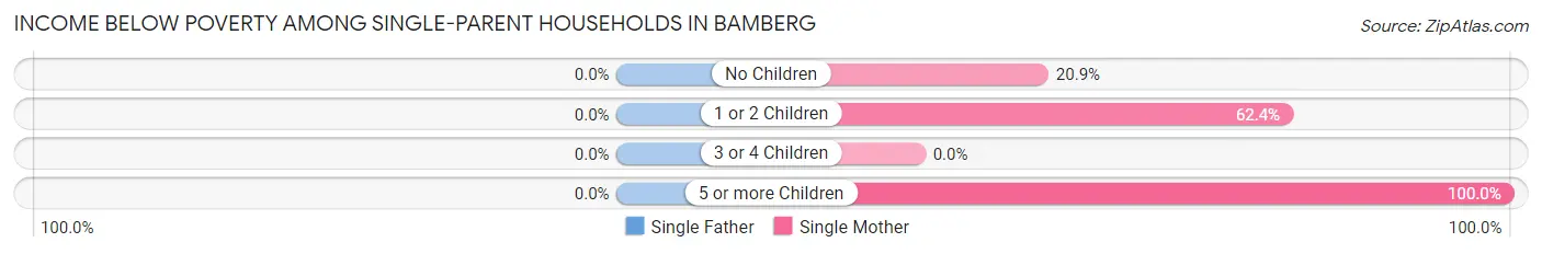 Income Below Poverty Among Single-Parent Households in Bamberg