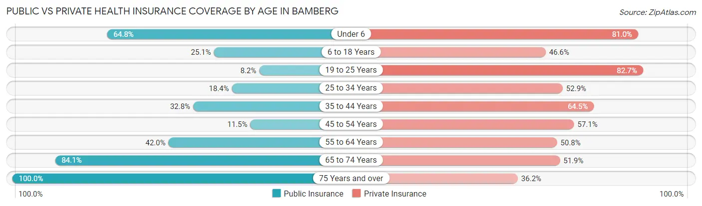 Public vs Private Health Insurance Coverage by Age in Bamberg