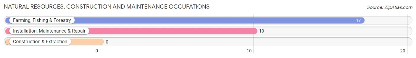 Natural Resources, Construction and Maintenance Occupations in Beech Island