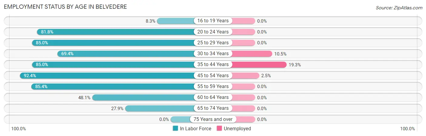 Employment Status by Age in Belvedere
