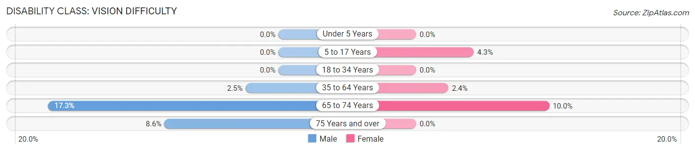 Disability in Blacksburg: <span>Vision Difficulty</span>