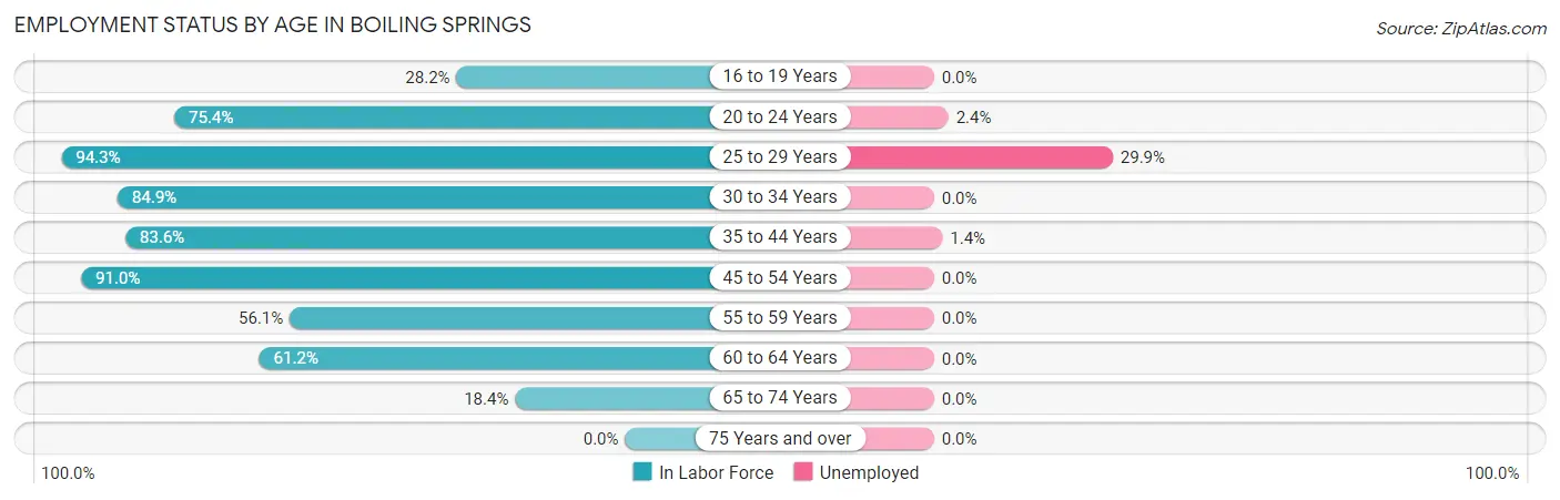 Employment Status by Age in Boiling Springs
